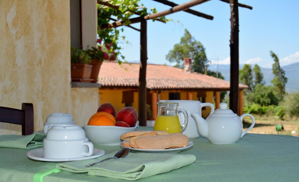 Agriturismo Rubinu Galtelli Exterior photo