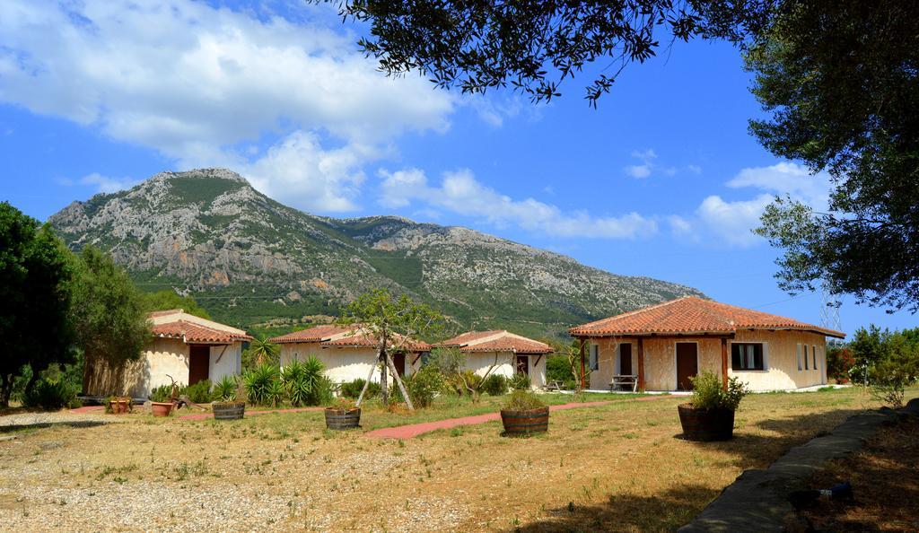 Agriturismo Rubinu Galtelli Room photo