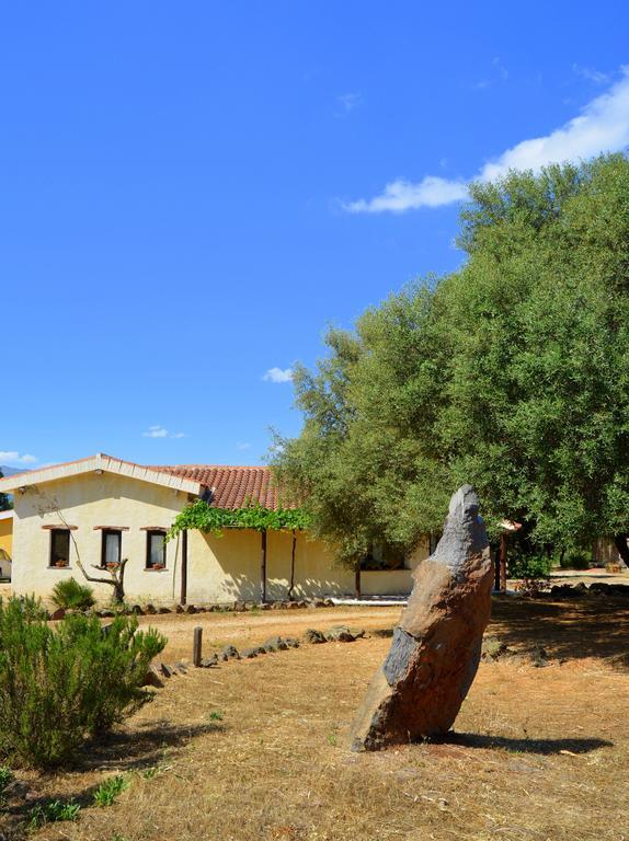 Agriturismo Rubinu Galtelli Exterior photo