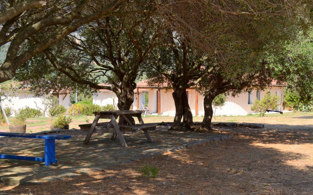 Agriturismo Rubinu Galtelli Exterior photo