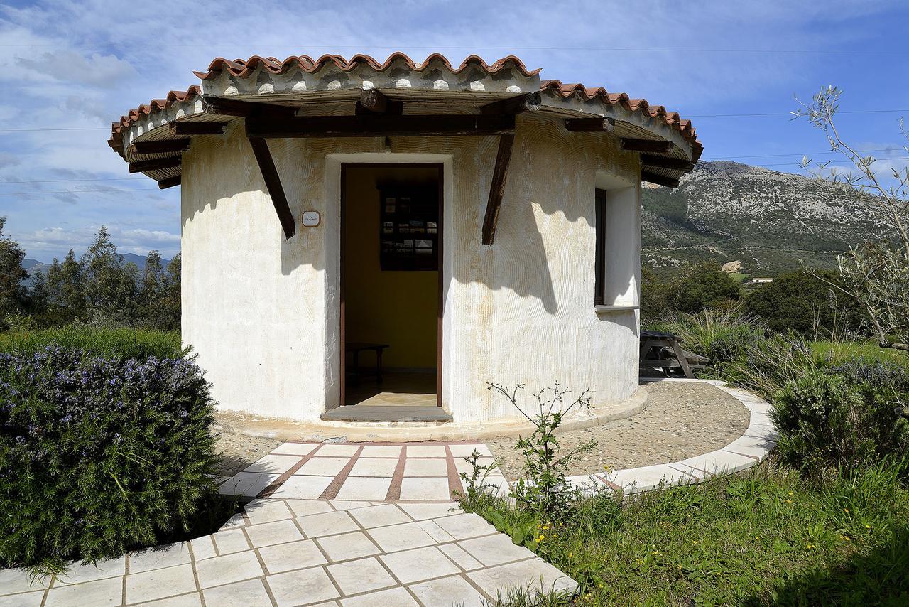Agriturismo Rubinu Galtelli Exterior photo